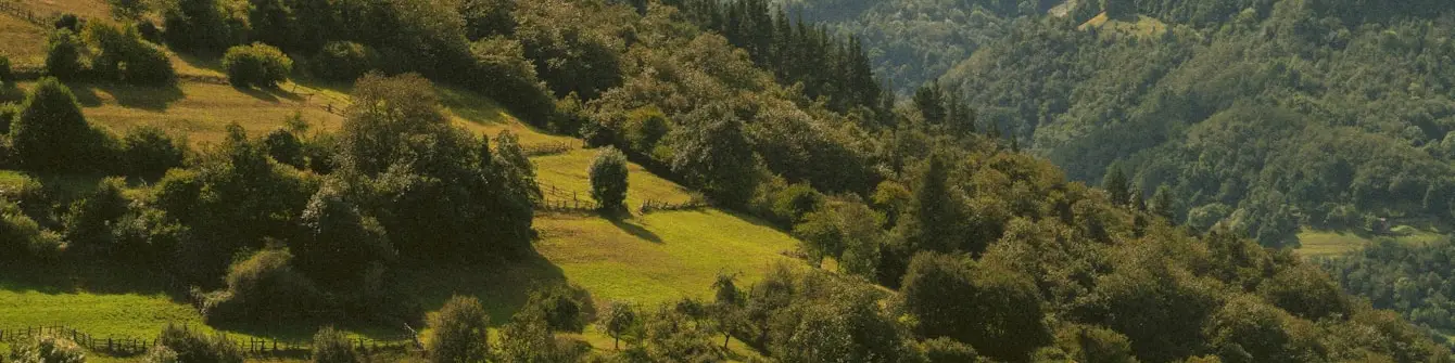 land.immo | Header